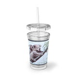 Koala Bear Australia Stamp Acrylic Cup