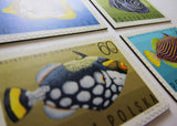 Tropical Fish Recycled Postage Stamp Magnet Set #J112