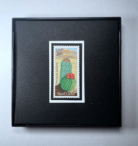 Cactus Desert Plant Framed #1942+