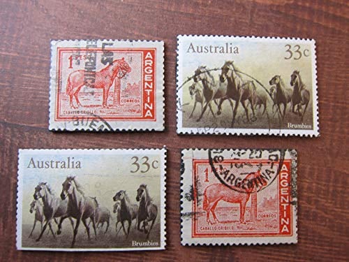 Horse Magnets