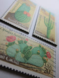 Cactus Magnets