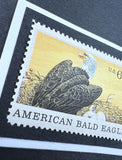 Bald Eagle 1970 Framed #1387