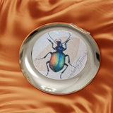 Beetle Poland Compact Travel Mirror