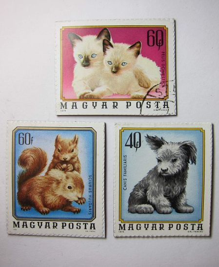 Baby Animals Recycled Postage Stamp Magnet Set #77