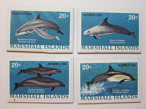 Dolphin Magnets