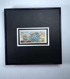 Cactus Desert Plant Framed #1942+