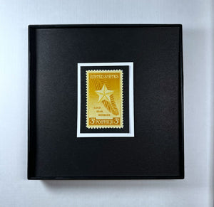 Gold Star Mothers Framed #969