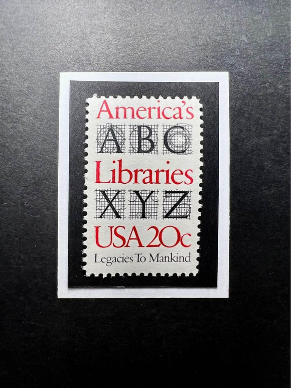 American Libraries Framed #2015