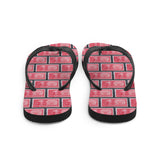 Alexander Hamilton Flip Flops