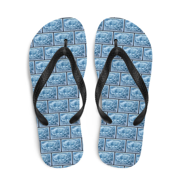 Blue Rhino Flip Flops