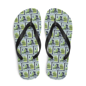 Davy Crockett Flip Flops