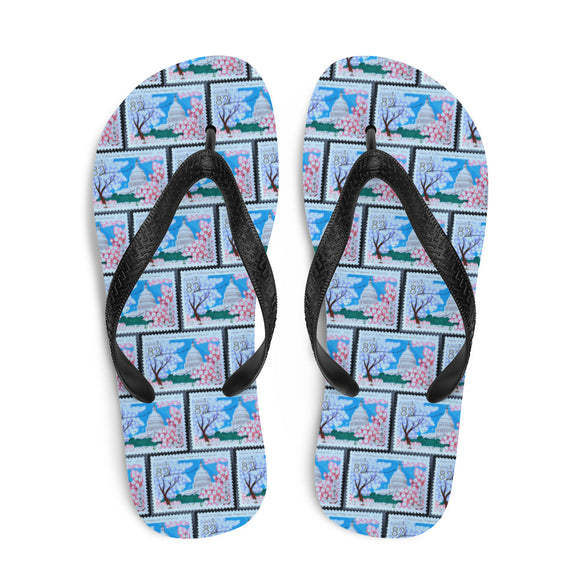 Cherry Blossoms DC Flip Flops